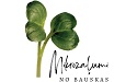 mikrozalumi logo